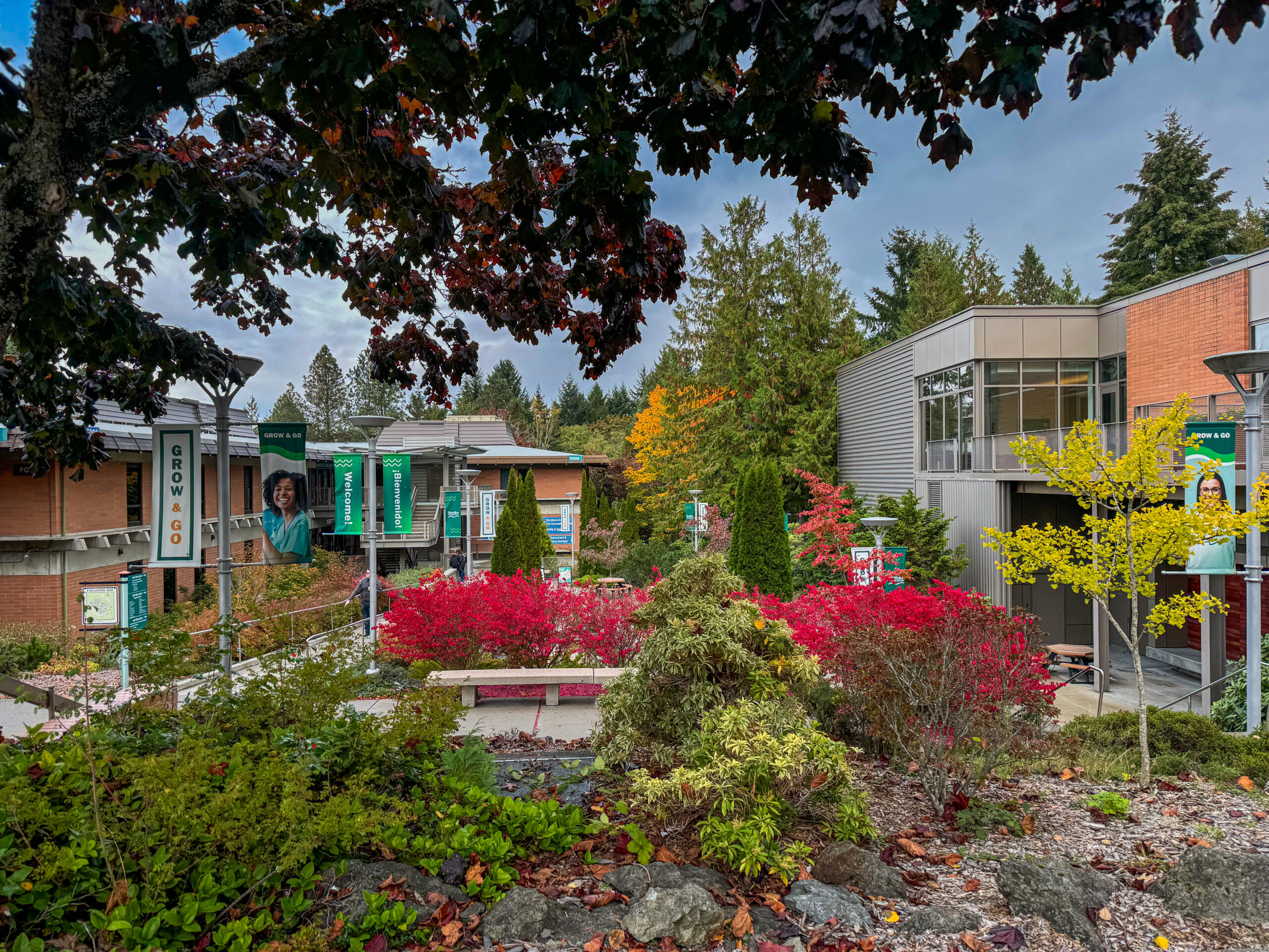Shoreline campus on a beautiful spring day